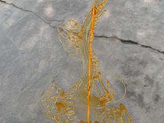 -南湖梦幻岛