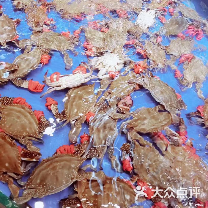 友鹏海鲜(黄河道店)-图片-天津美食-大众点评网