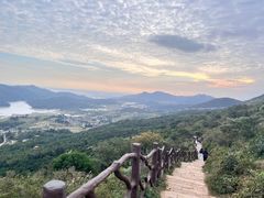 -大姆山草场