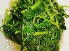 上汤时蔬-燕云楼(云南路店)