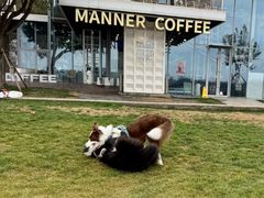 -Manner Coffee(徐汇滨江店)