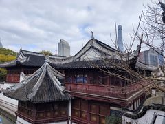 -绿波廊(豫园店)