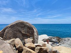 -广东惠东海龟国家级自然保护区