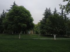 -西北湖绿化广场