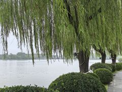 -东湖景区