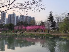 -堤角公园