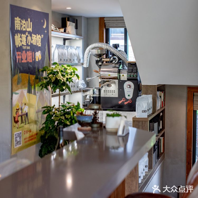 春光正好，赏花逗猫喝一杯咖啡｜南泊山咖啡