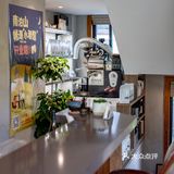 春光正好，赏花逗猫喝一杯咖啡｜南泊山咖啡