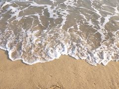-玫瑰海岸文化旅游度假区