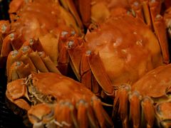 -王宝和酒家(黄浦店)