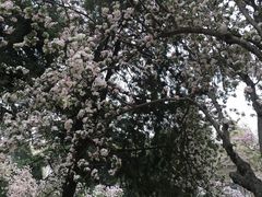 -山东师范大学(千佛山校区)