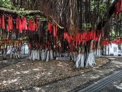 -胡里山炮台
