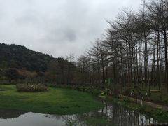 -田野绿世界