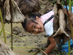 -三圣花乡旅游区