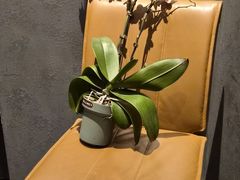 -望京辣宴·古法川菜(望京店)