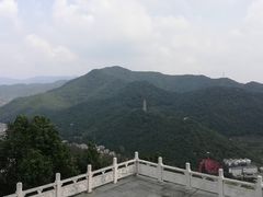 -黄贤森林公园