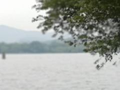 -西湖外事游船(湖滨二公园外事游船码头)