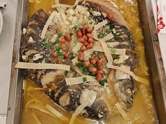 -陈生记黑鱼馆·20年活鱼现杀(宁波鼓楼店)