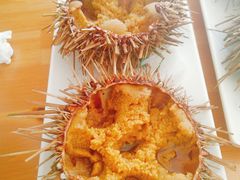 -海胆小馆(东北水饺·春柳店)