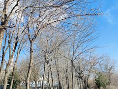 -7分甜(天津南开大悦城店)