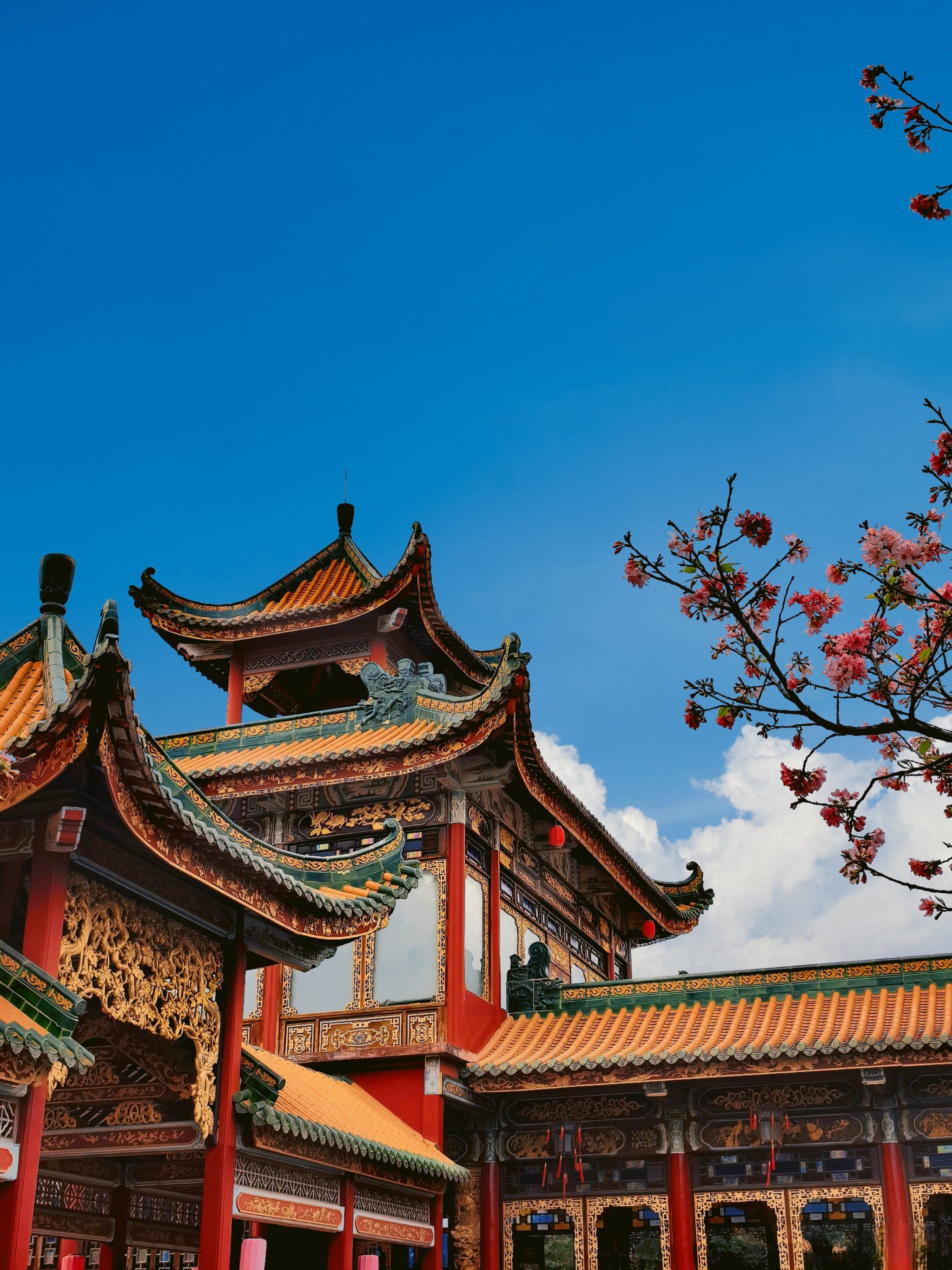 宝墨园|广州值得一去的岭南园林