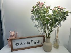 -DELAVAY黛乐薇抗衰中心