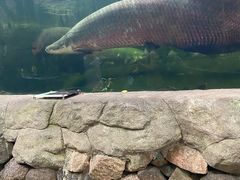 -青青世界