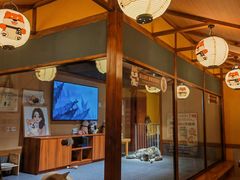 -大江户·温泉洗浴(浑南店)