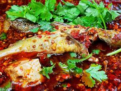 -胖大姐黄辣丁鱼庄(新津店)