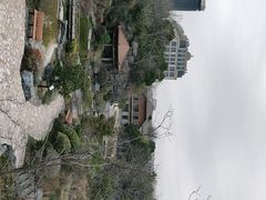 -上海吴淞炮台湾国家湿地公园