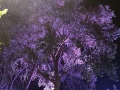 -人民防洪胜利纪念塔