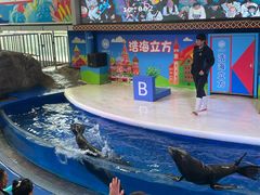 -成都浩海立方海洋公园