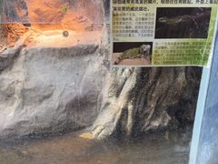 -上海大自然野生昆虫馆(东方明珠·爬宠昆虫探索中心)