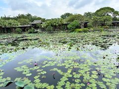 -粤晖园