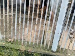 -祥源·阜阳生态乐园