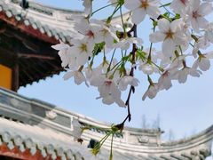 -龙华寺