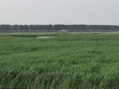 -白洋淀风景区