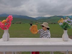 -新疆那拉提国家旅游度假区