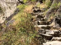 -丽江虎跳峡大酒店