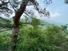 -北京鹫峰国家森林公园