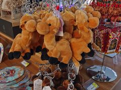 -银川河东国际机场