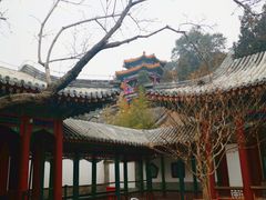 -宫事颐庭·老佛爷贵寿下午茶(颐和园店)