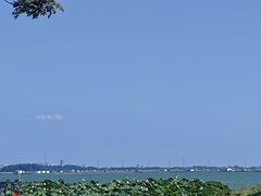 -小陆莲花蟹园农家乐(莲花岛店)