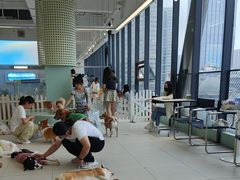 -怪兽屋·羊驼·猫咖·狗咖(俊华广场店)