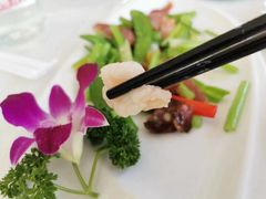 -云中小雅