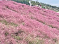 -沂蒙云瀑洞天景区