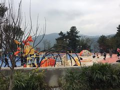 -铁山坪森林公园