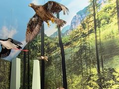 -房山世界地质公园博物馆
