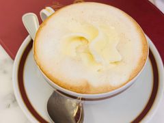 奶油冰咖啡-Cafe Sacher(WIEN)
