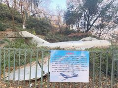 -伯先公园